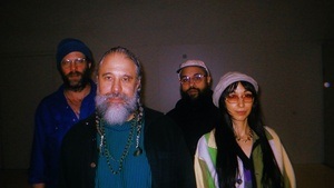 Natural Information Society