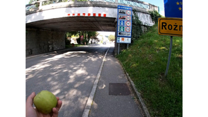 ERÖFFNUNG: 6 ½ Wochen: Ferdinand Waas. Europtrip Energy