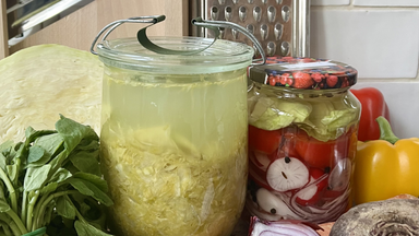 The Magic of Fermentation