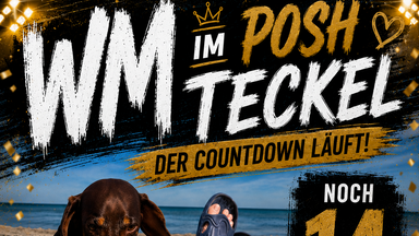 WM im Posh Teckel