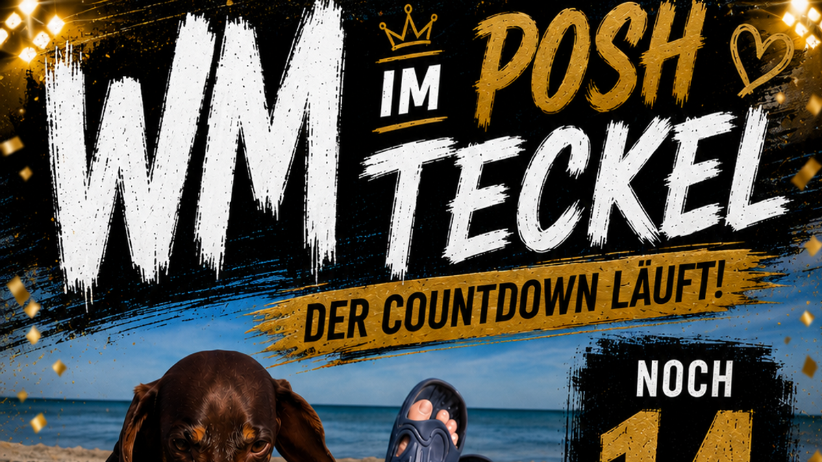 WM im Posh Teckel