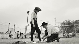 Gaucho Gaucho
