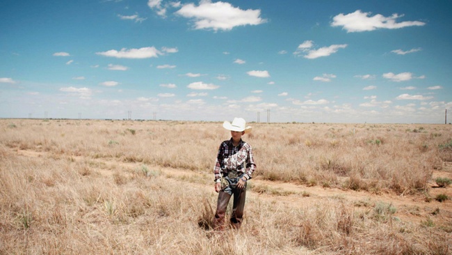 "EinBLICK. Der Kulturfilm am Sonntag": THE COWBOY