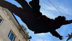 Ausstellung: Gefunden unterwegs – Momente im Quadrat 15. Januar bis 27. März 2026