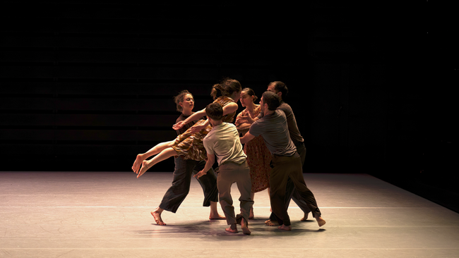 Potsdamer Tanztage 2026 – Nature of a Fall