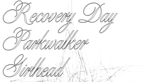 03.07 RECOVERY DAY (Emo), PARKWALKER (Slowcore), GIRLHEAD (Dream-Pop) @ RPZ Bonn