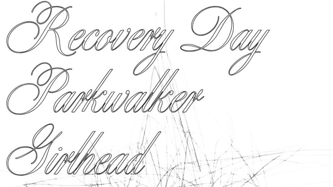 03.07 RECOVERY DAY (Emo), PARKWALKER (Slowcore), GIRLHEAD (Dream-Pop) @ RPZ Bonn