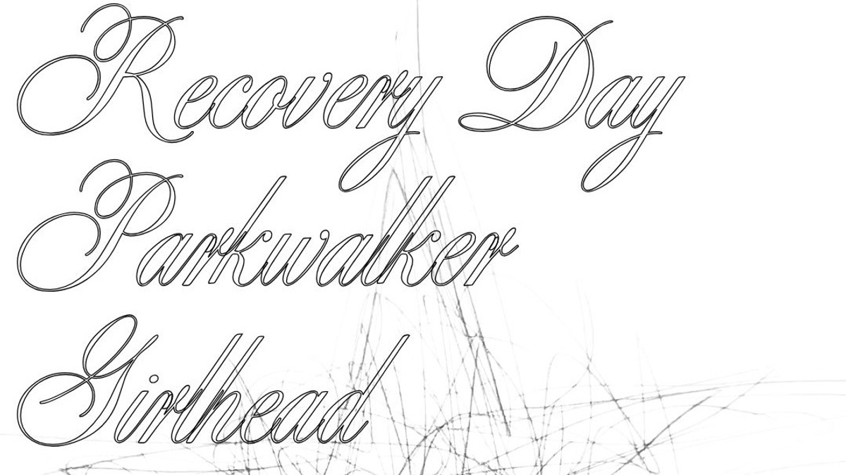 ANB & DAS MUSIKNETZWERK PRÄSENTIEREN: 03.07 RECOVERY DAY (Emo), PARKWALKER (Slowcore), GIRLHEAD (Dream-Pop) @ RPZ Bonn