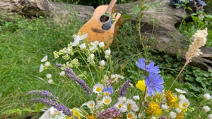 Waldzeit Köln. Singend durch die Natur