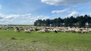 Was geschieht auf der Fröttmaninger Heide? -  Information über laufende und anstehende Maßnahmen