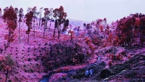 Remix. Photographie – Fiktion und Wahrheit