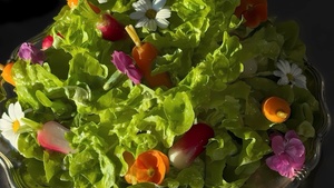 Cooking Workshop at Haus im Tal