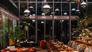 MNFST x DNA. Words to Life