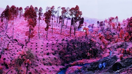 Remix. Photographie – Fiktion und Wahrheit