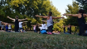 Sport im Park: HIT - Fatburning Workout