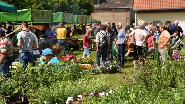 Garten-Welten