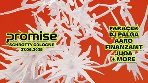 Promise with PARAÇEK, DJ PALGA, AARO and more