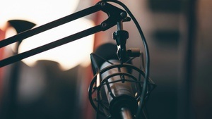 Wie sinnvoll und erfolgversprechend sind Verbotsverfahren gegen extrem rechte Parteien?