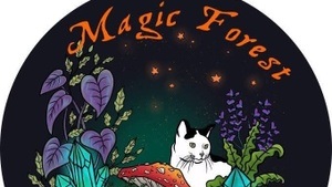 Magic Forest & Amsel live + 60tis-Disco