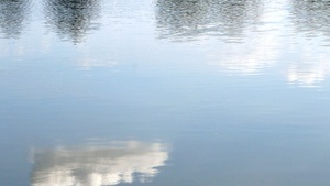 Die Jenfelder Au - Wassermanagement in Wohnquartieren