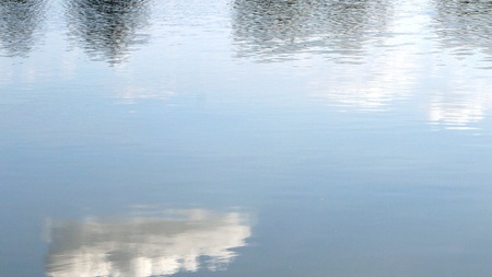 Die Jenfelder Au - Wassermanagement in Wohnquartieren