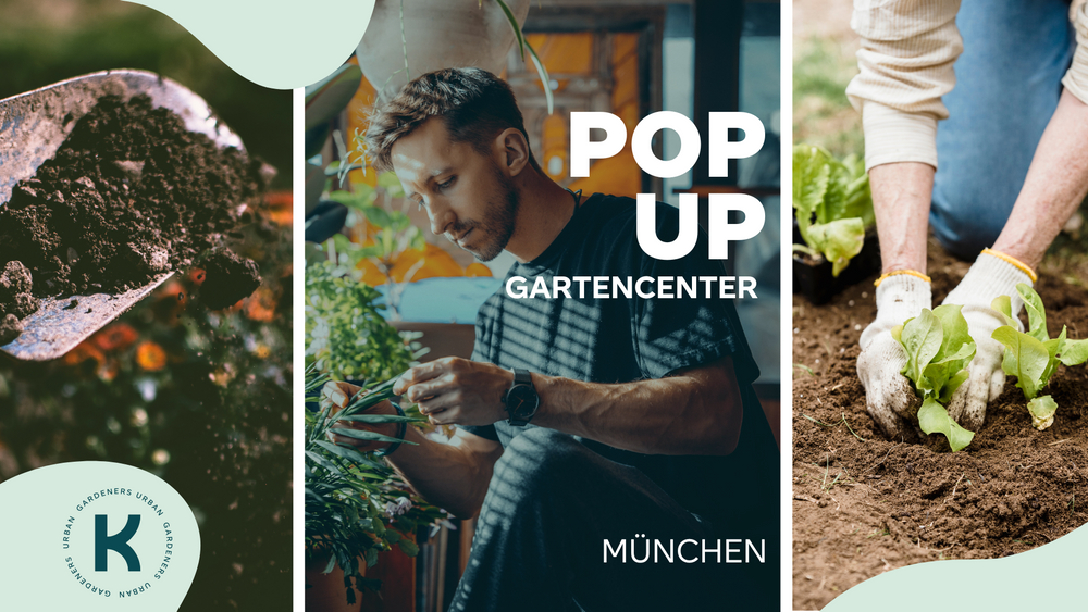 Münchens erstes Pop-Up Gartencenter