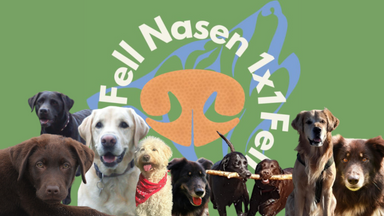 Fellnasen 1x1