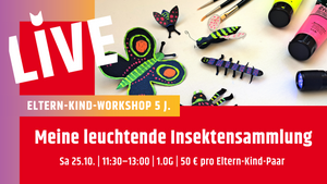 Meine leuchtende Insektensammlung (ab 5 J.)