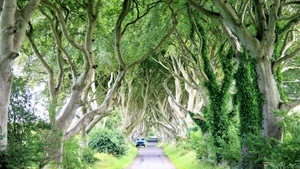 Lück aus 49 – Das große Reise-Lotto. Seit 30 Jahren im Bulli durch Europa