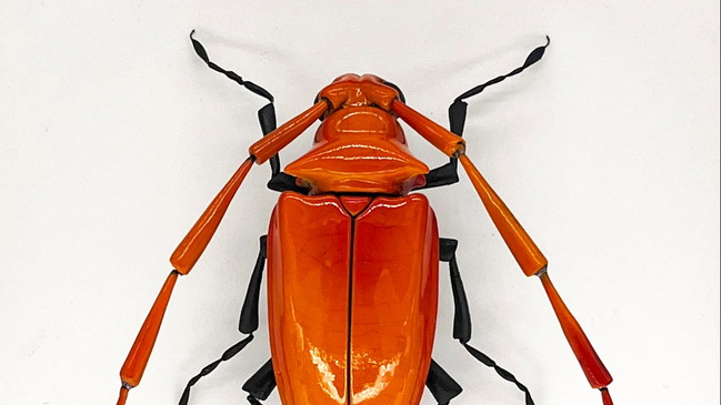 Keramische Insekten