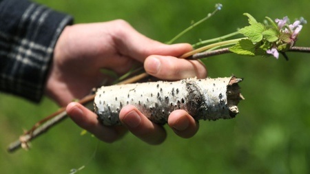 Feldbaden: Erholung finden in der Stadtnatur