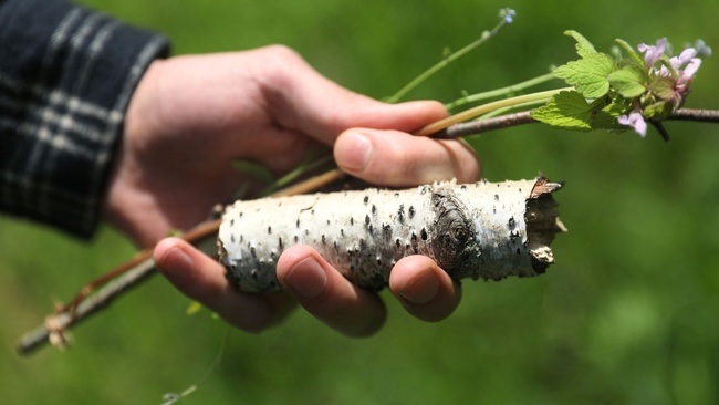Feldbaden: Erholung finden in der Stadtnatur
