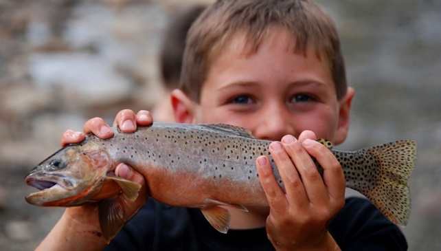 Keine Angst vor ganzen Fischen - Kochkurs