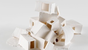 Lecture by  Samyuktha Senthil "From cooperation to exploitation: Fascinating life- history strategies in ants"