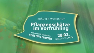 Pflanzenschätze im Vorfrühling