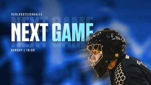 1. Floorball Bundesliga Floor Fighters Chemnitz vs. Unihockey Igels Dresden