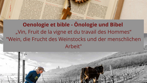 Önologie und Bibel „Wein, die Frucht des Weinstocks und der menschlichen Arbeit“