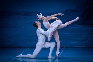 Schwanensee - International Festival Ballet