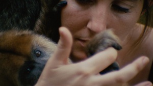 Lateinamerikanische Filmtage München: MONÓLOGO COLECTIVO + AUDIO Y EL CAIMÁN