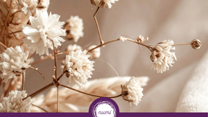 Special Class: Between the Years: »A Yin Yoga Journey into Stillness«