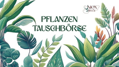 Pflanzentauschbörse