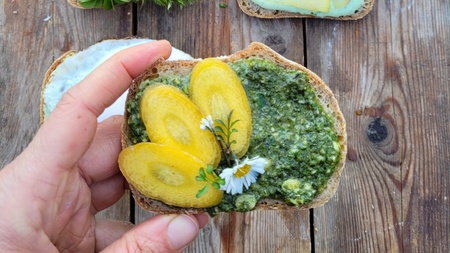Wilder Snack - Wildkräuterworkshop am Schloss Türnich