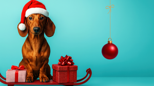 Festgottesdienst für Hunde und ihre Begleitung