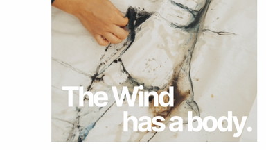 The Wind has a Body — an exhibition by Alina Lutz with Ambient Sounds