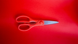 Schilder, Dildos und Vulven für die CSD-Demo basteln