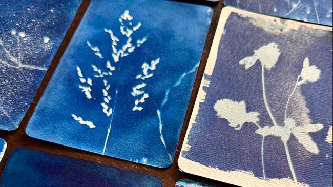 Cyanotopie Workshop – Blaupausen des Sommers