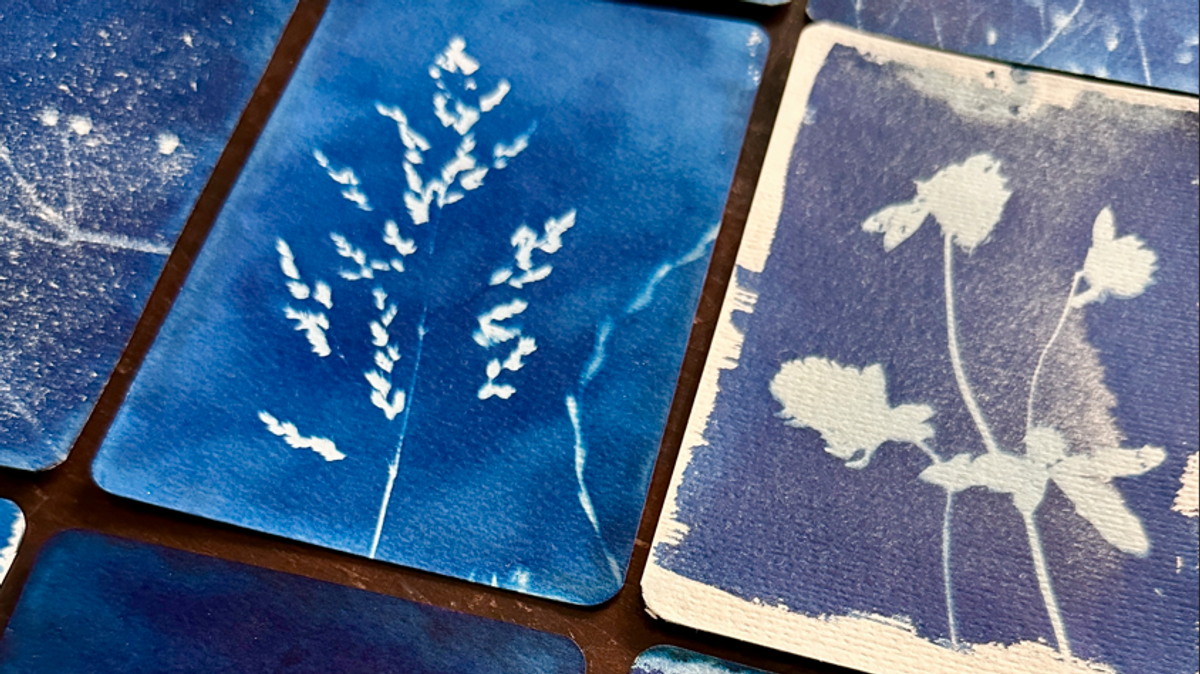 Cyanotypie Workshop – Blaupausen des Sommers