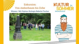 Exkursion: Von Amberbaum bis Zirbe