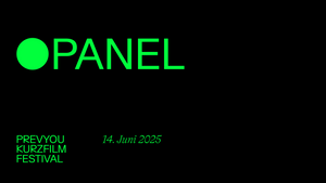 PANEL | FIRST TAKE - Einstieg zum Film