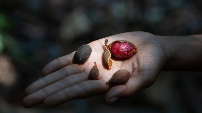 Assembling Grounds. Praktiken der Koexistenz